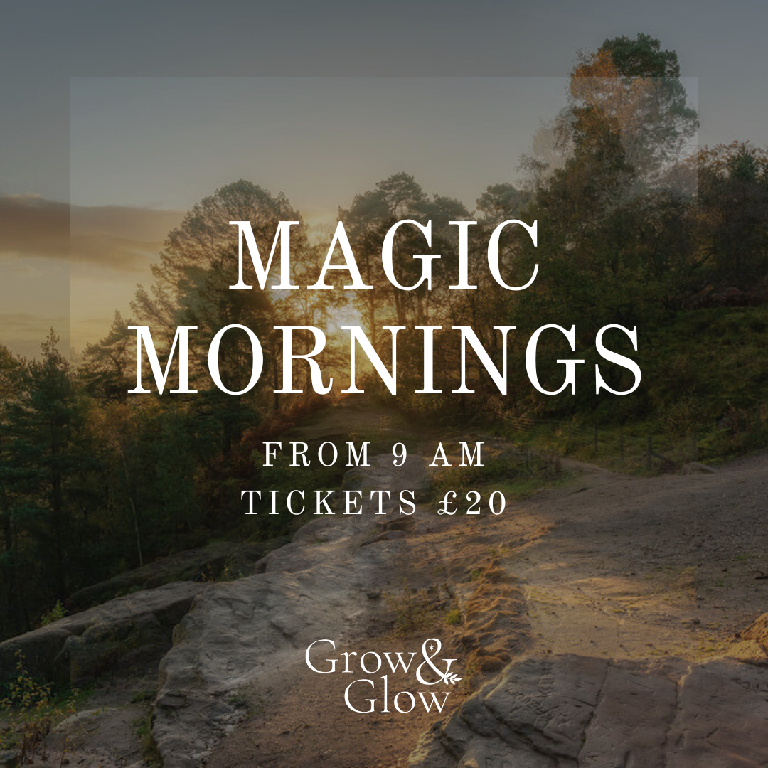 Magic Mornings